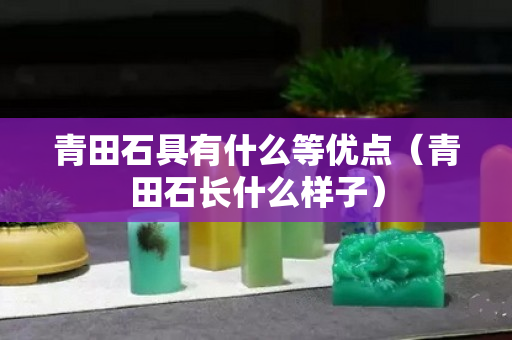 青田石具有什么等優點（青田石長什么樣子）