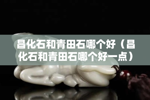 昌化石和青田石哪個(gè)好（昌化石和青田石哪個(gè)好一點(diǎn)）