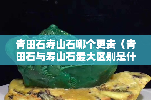 青田石壽山石哪個更貴（青田石與壽山石最大區別是什么）