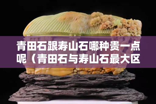 青田石跟壽山石哪種貴一點(diǎn)呢（青田石與壽山石最大區(qū)別是什么）