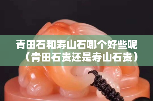 青田石和壽山石哪個好些呢（青田石貴還是壽山石貴）