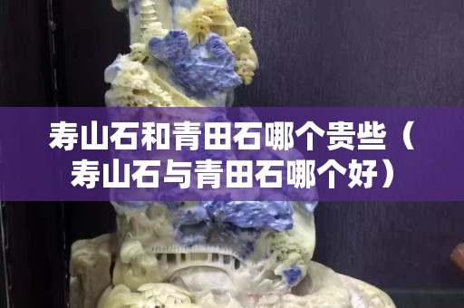 壽山石和青田石哪個(gè)貴些（壽山石與青田石哪個(gè)好）