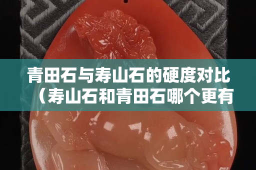 青田石與壽山石的硬度對比（壽山石和青田石哪個更有收藏價值）