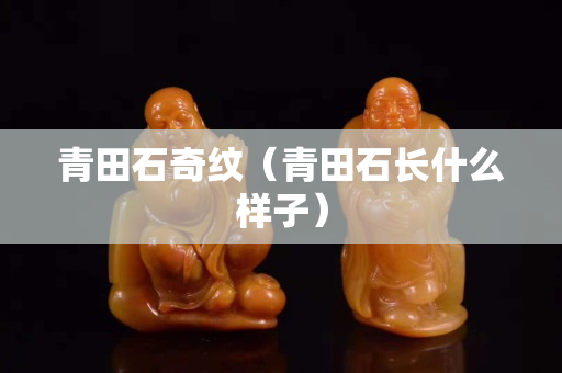 青田石奇紋（青田石長什么樣子）