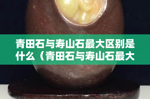 青田石與壽山石最大區(qū)別是什么（青田石與壽山石最大區(qū)別是什么意思）