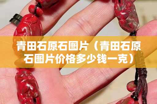 青田石原石圖片（青田石原石圖片價(jià)格多少錢(qián)一克）