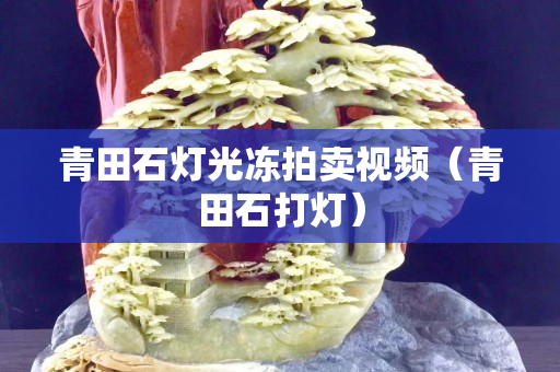 青田石燈光凍拍賣視頻（青田石打燈）