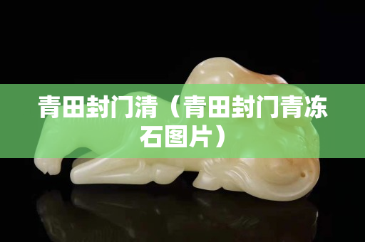 青田封門清（青田封門青凍石圖片）