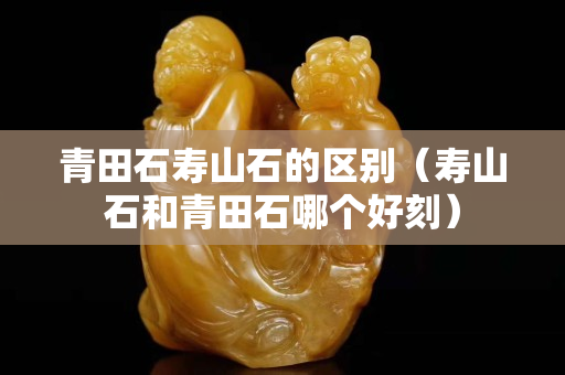 青田石壽山石的區別（壽山石和青田石哪個好刻）