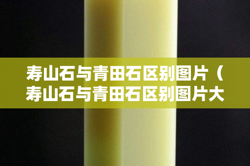 壽山石與青田石區別圖片（壽山石與青田石區別圖片大全）