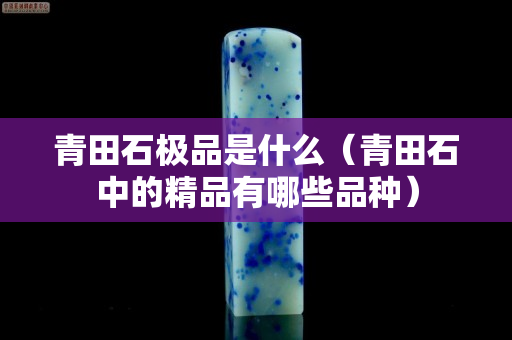 青田石極品是什么（青田石中的精品有哪些品種）