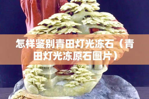 怎樣鑒別青田燈光凍石（青田燈光凍原石圖片）