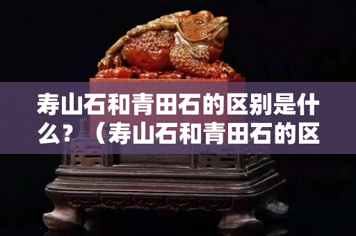 壽山石和青田石的區別是什么？（壽山石和青田石的區別是什么意思）