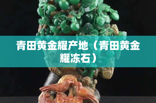 青田黃金耀產地（青田黃金耀凍石）