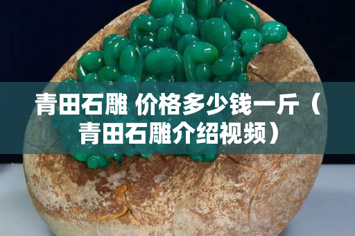 青田石雕 價(jià)格多少錢一斤（青田石雕介紹視頻）