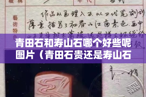 青田石和壽山石哪個好些呢圖片（青田石貴還是壽山石貴）