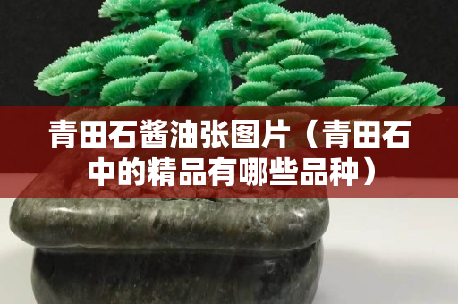 青田石醬油張圖片（青田石中的精品有哪些品種）