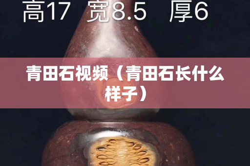 青田石視頻（青田石長什么樣子）
