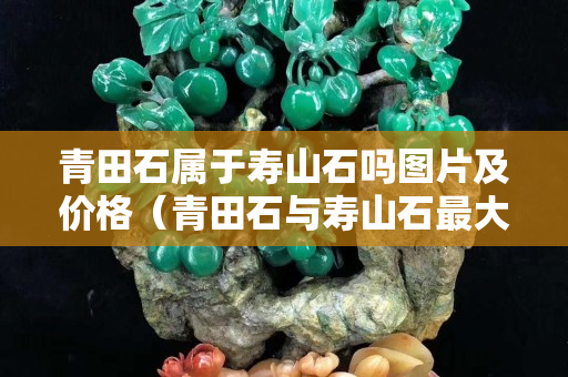 青田石屬于壽山石嗎圖片及價格（青田石與壽山石最大區別是什么）
