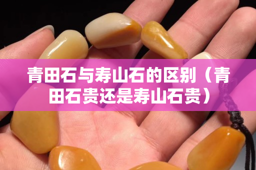 青田石與壽山石的區別（青田石貴還是壽山石貴）