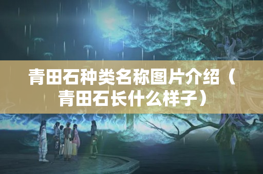 青田石種類名稱圖片介紹（青田石長什么樣子）