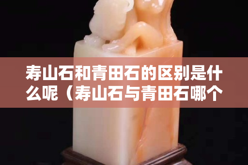 壽山石和青田石的區(qū)別是什么呢（壽山石與青田石哪個好）