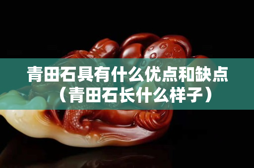 青田石具有什么優(yōu)點(diǎn)和缺點(diǎn)（青田石長什么樣子）