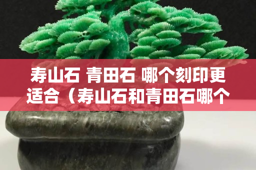 壽山石 青田石 哪個刻印更適合（壽山石和青田石哪個刻章好）