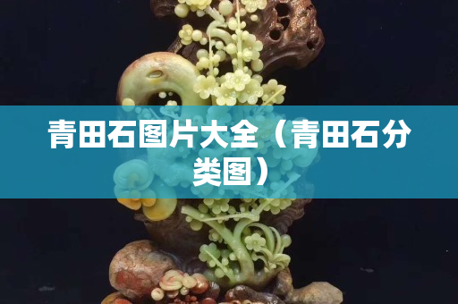 青田石圖片大全（青田石分類圖）
