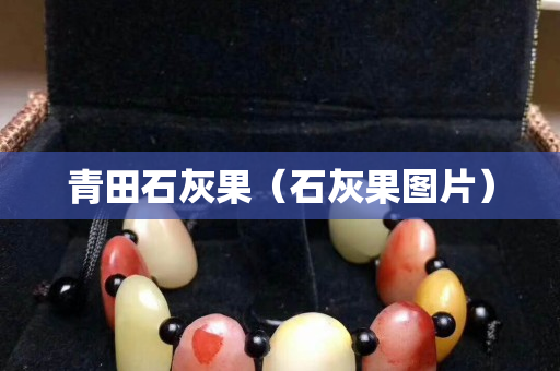青田石灰果（石灰果圖片）