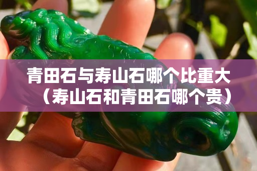 青田石與壽山石哪個比重大（壽山石和青田石哪個貴）