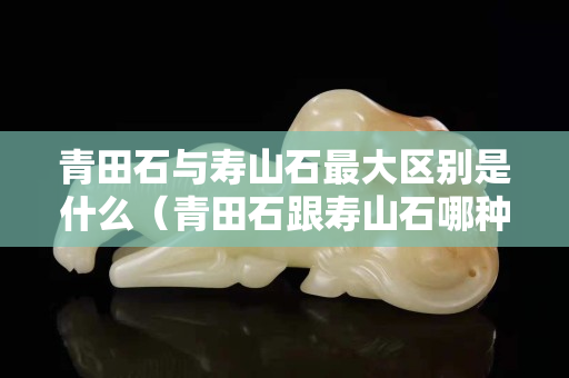青田石與壽山石最大區別是什么（青田石跟壽山石哪種貴）