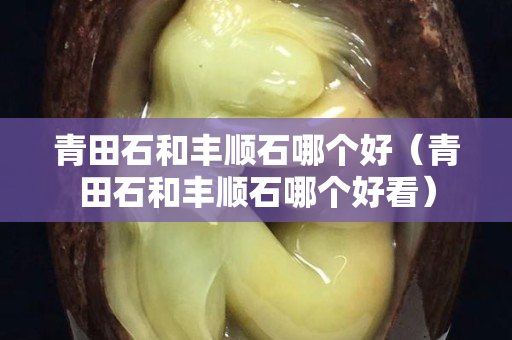 青田石和豐順石哪個好（青田石和豐順石哪個好看）
