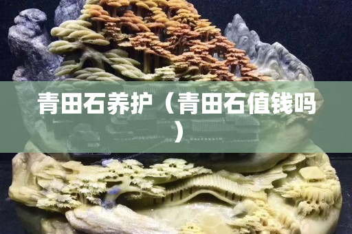 青田石養護（青田石值錢嗎）