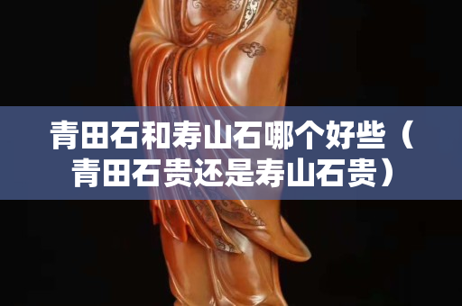 青田石和壽山石哪個(gè)好些（青田石貴還是壽山石貴）