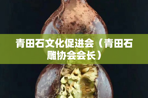 青田石文化促進會（青田石雕協會會長）