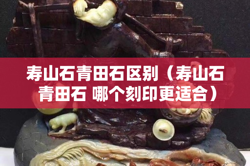 壽山石青田石區別（壽山石 青田石 哪個刻印更適合）