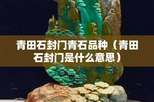 青田石封門青石品種（青田石封門是什么意思）