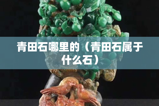 青田石哪里的（青田石屬于什么石）