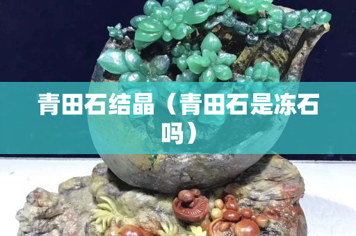 青田石結晶（青田石是凍石嗎）