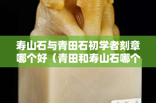壽山石與青田石初學(xué)者刻章哪個(gè)好（青田和壽山石哪個(gè)做印章好）