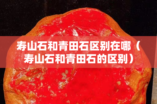 壽山石和青田石區(qū)別在哪（壽山石和青田石的區(qū)別）