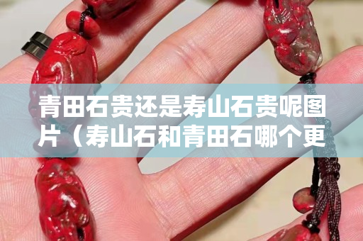 青田石貴還是壽山石貴呢圖片（壽山石和青田石哪個更有收藏價值）