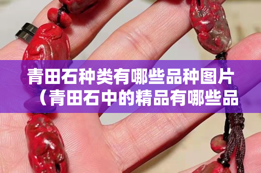 青田石種類有哪些品種圖片（青田石中的精品有哪些品種）