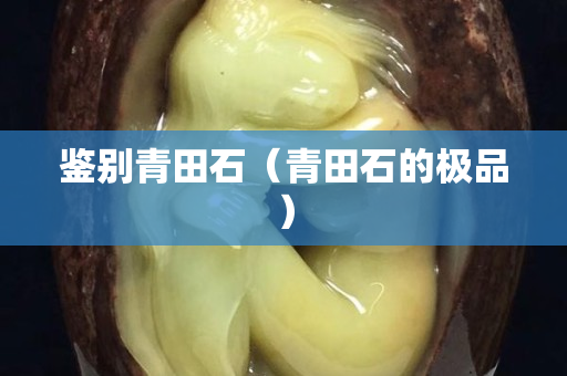鑒別青田石（青田石的極品）