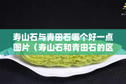 壽山石與青田石哪個好一點圖片（壽山石和青田石的區別）