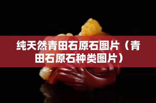 純天然青田石原石圖片（青田石原石種類圖片）