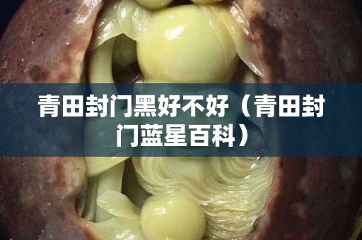 青田封門黑好不好（青田封門藍星百科）