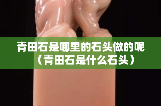 青田石是哪里的石頭做的呢（青田石是什么石頭）