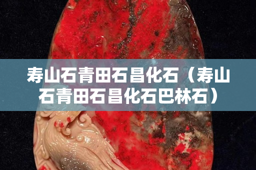 壽山石青田石昌化石（壽山石青田石昌化石巴林石）